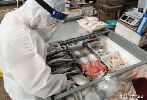 曝光 任城區(qū)公布違反疫情防控進口冷鏈?zhǔn)称放c挖掘裝載機事件